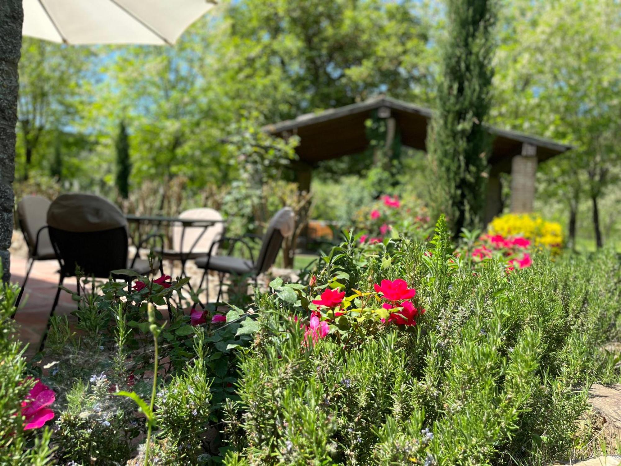 Appartement Mulino In Chianti à Gaiole in Chianti Extérieur photo