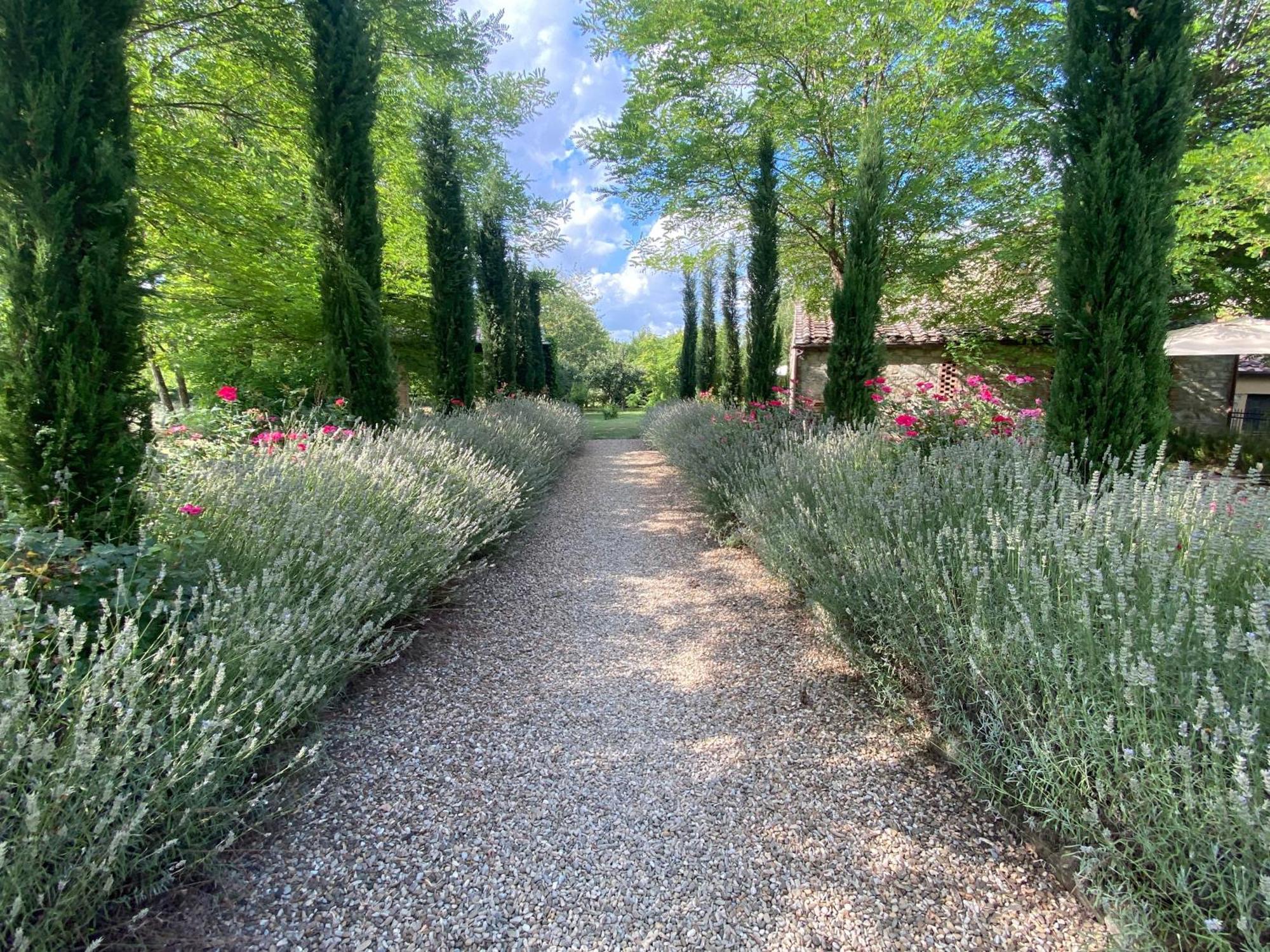 Appartement Mulino In Chianti à Gaiole in Chianti Extérieur photo